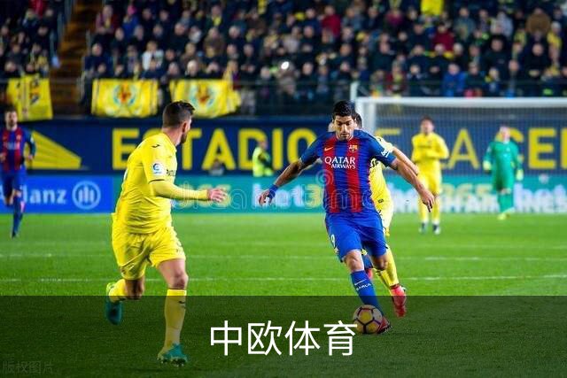 中欧体育团队与业务介绍